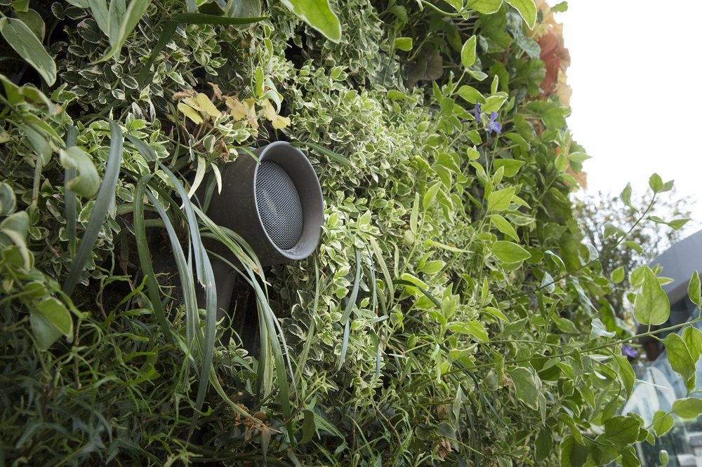 Outdoor-Speakers Whole Home Audio: Your Questions Answered by London's Top AV Installers